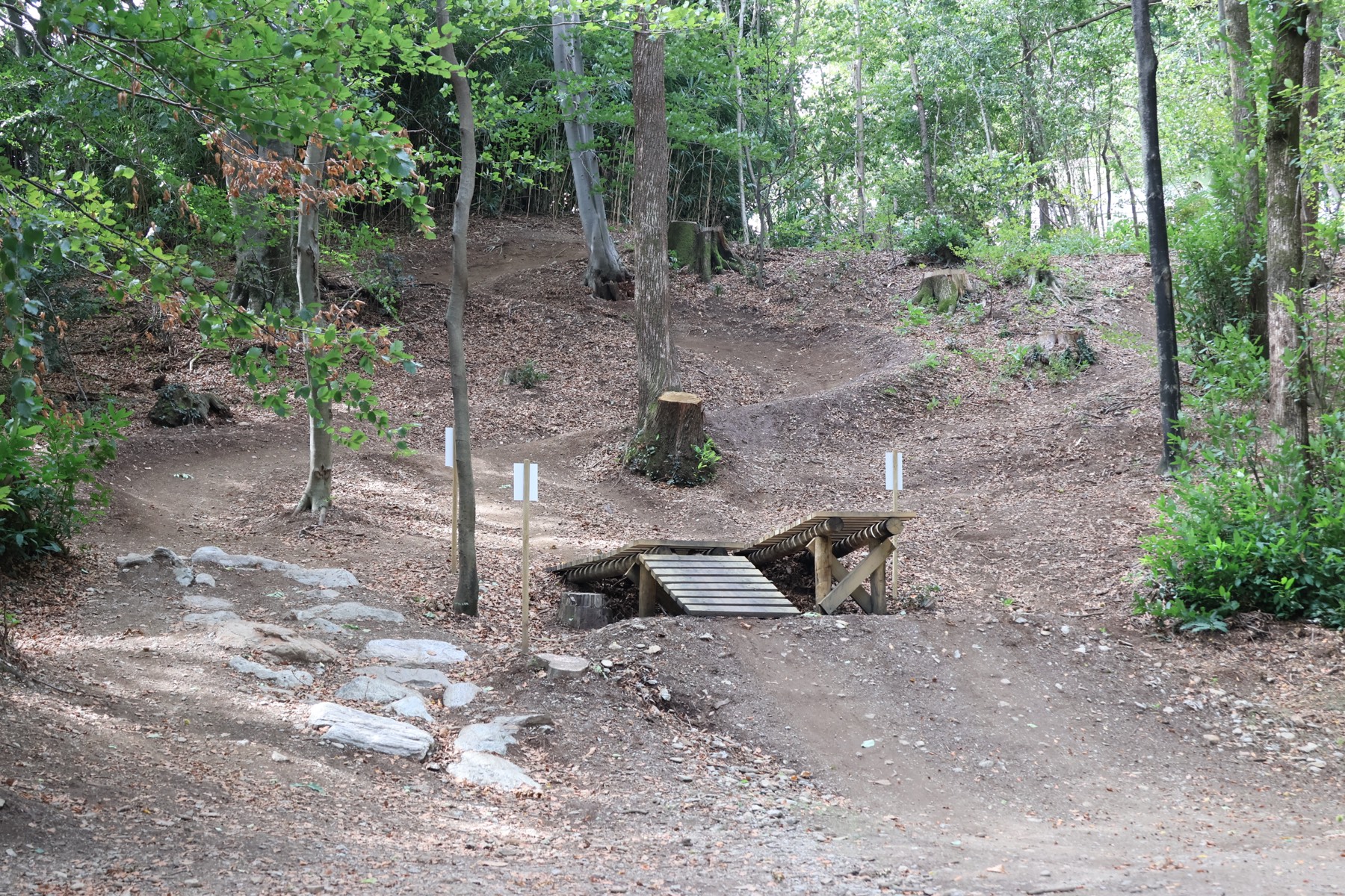 Dettaglio costruzione trail