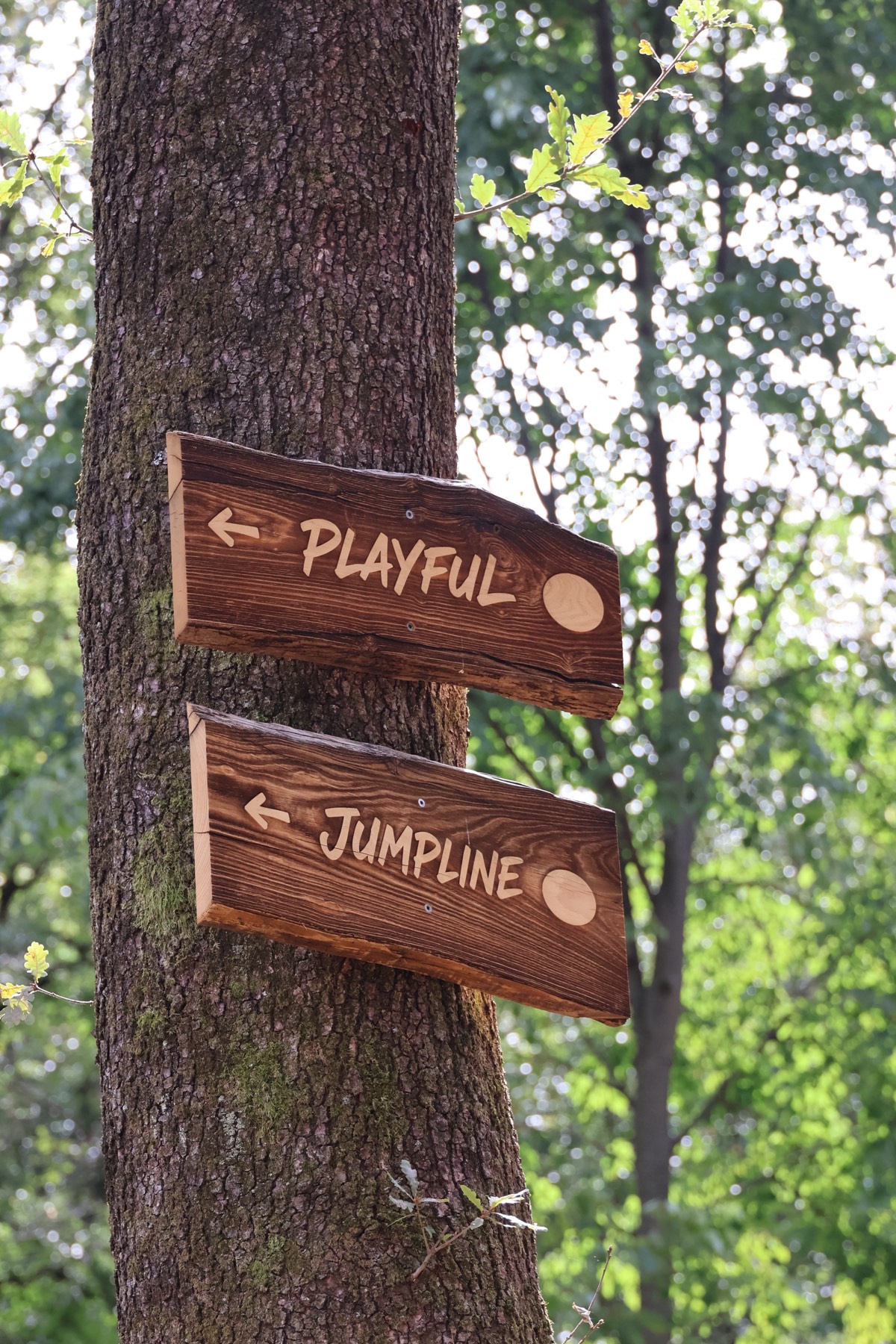 Jump line